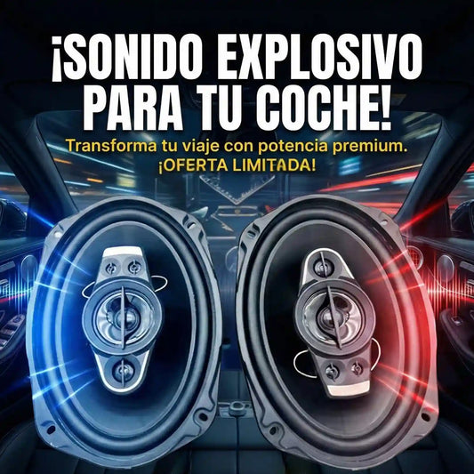 PARLANTE DE CARRO 6X9 (POTENCIA 800W)