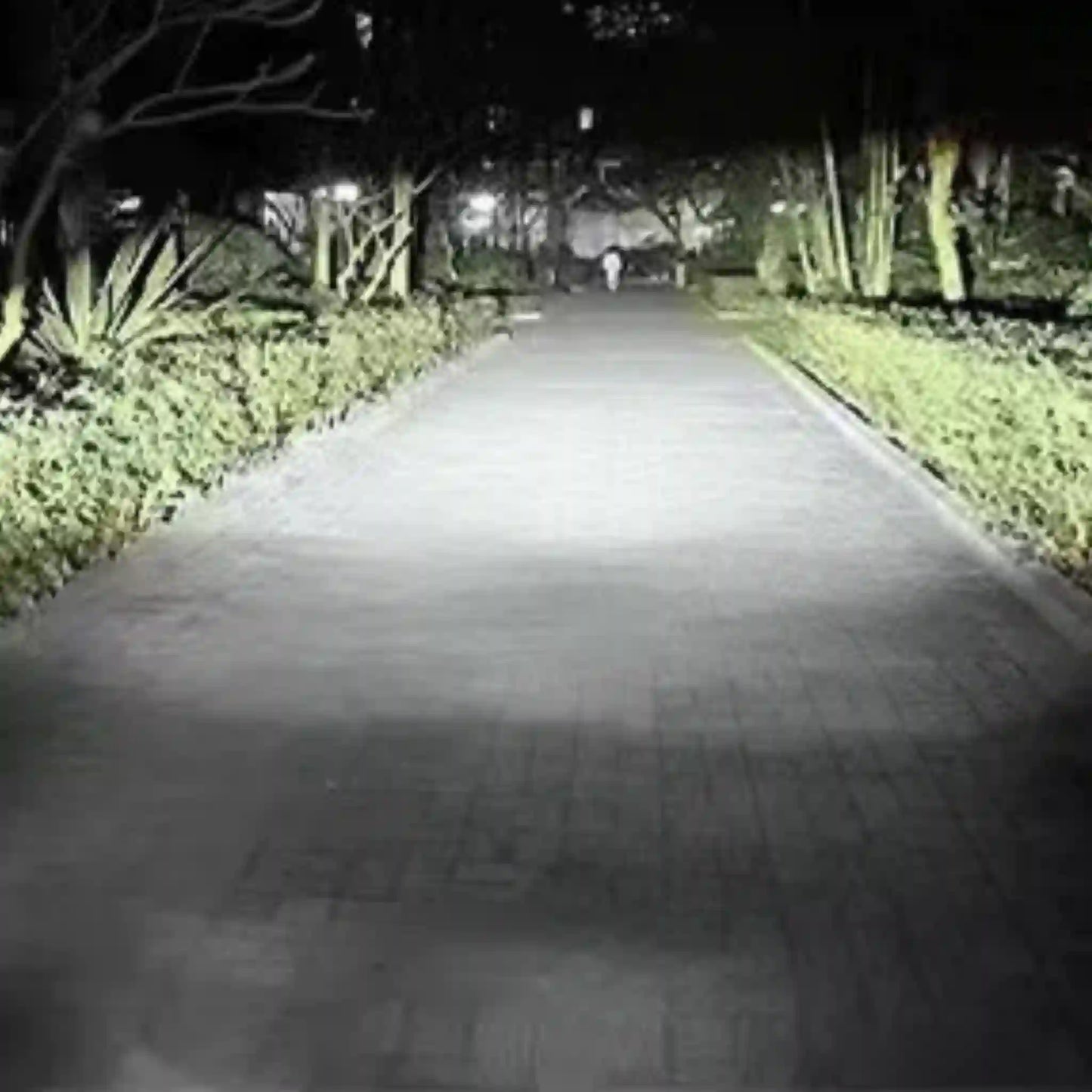 EXPLORADOR LUZ LED DELANTERO- TRIPLE TONALIDAD F-R